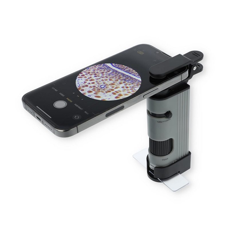 Carson MP-400 MicroPic 120x-240x Magnification, High-Resolution LED Pocket Microscope with Smartphone Adapter Clip for Digiscoping, Educational STEM Tool