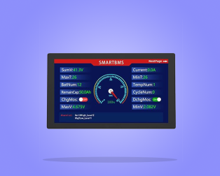 Battery Management System (BMS)