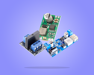 Electronic Modules